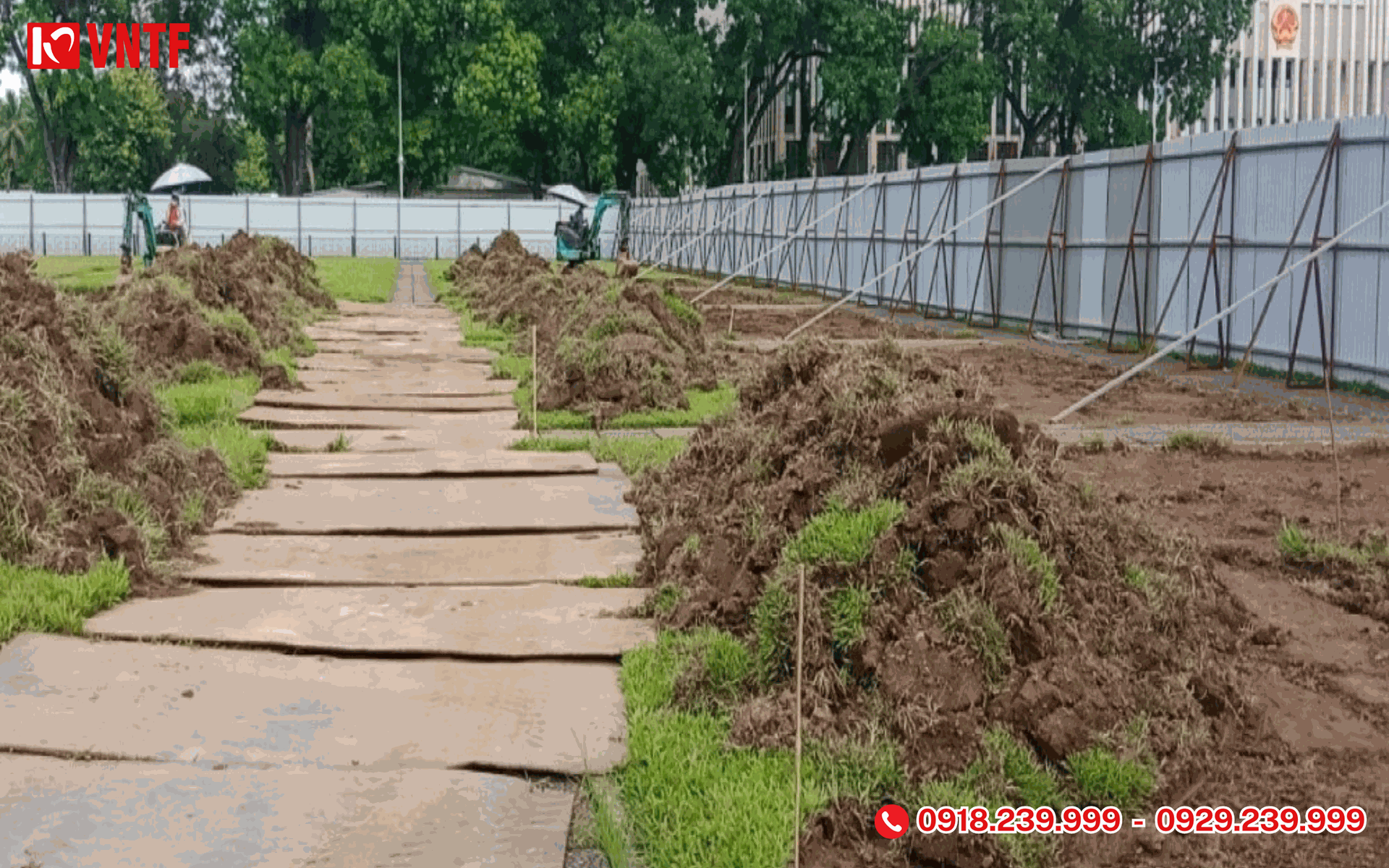 VNTF - Chuyên mua bán và cho thuê tôn tấm, thép hình