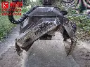 DSC02973.webp
